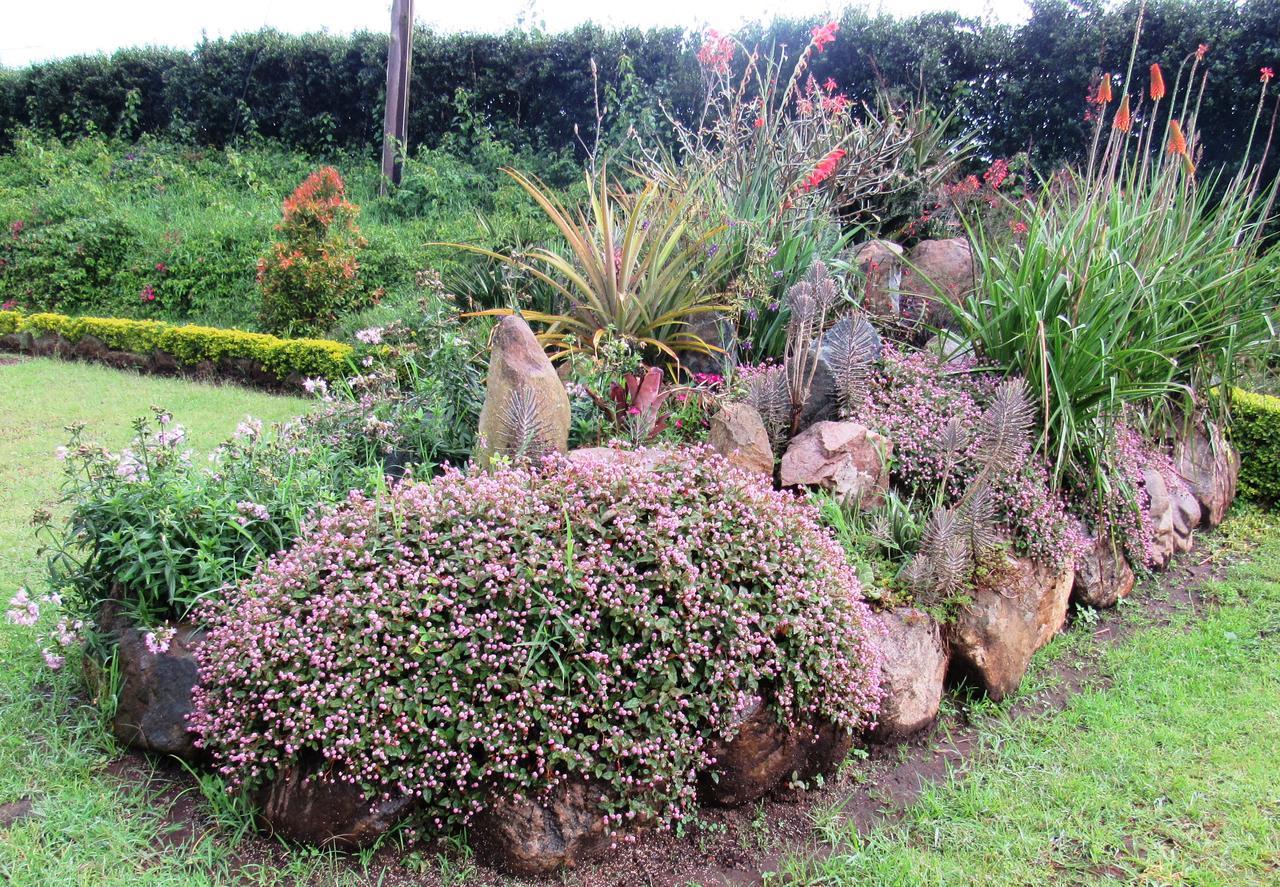 Koi Koi, Fort Portal Kasusu Экстерьер фото